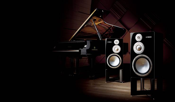 NS-5000